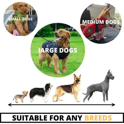 Wintarium™ Dog Winter Jacket